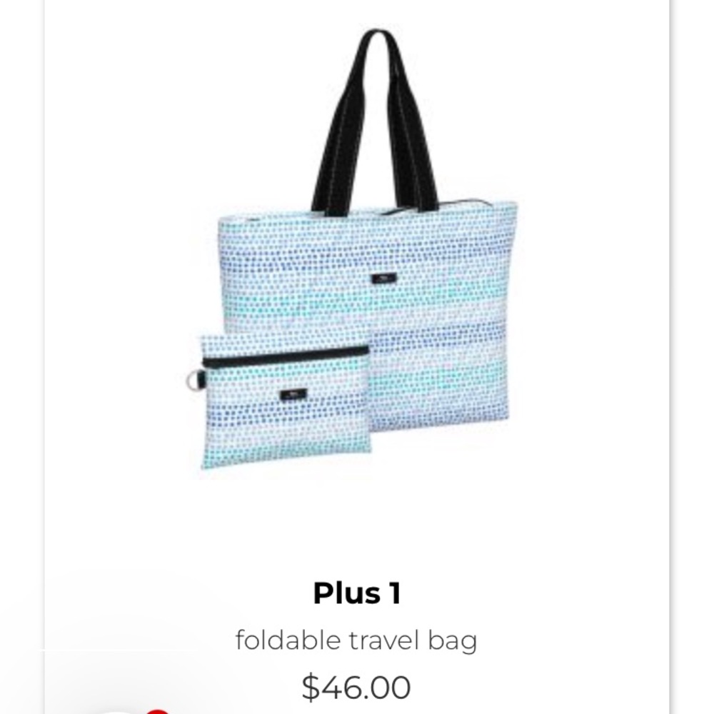 Scout Foldable Travel bag 2 in 1!  Spotted at Sea